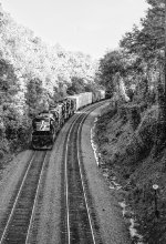 NS 3998